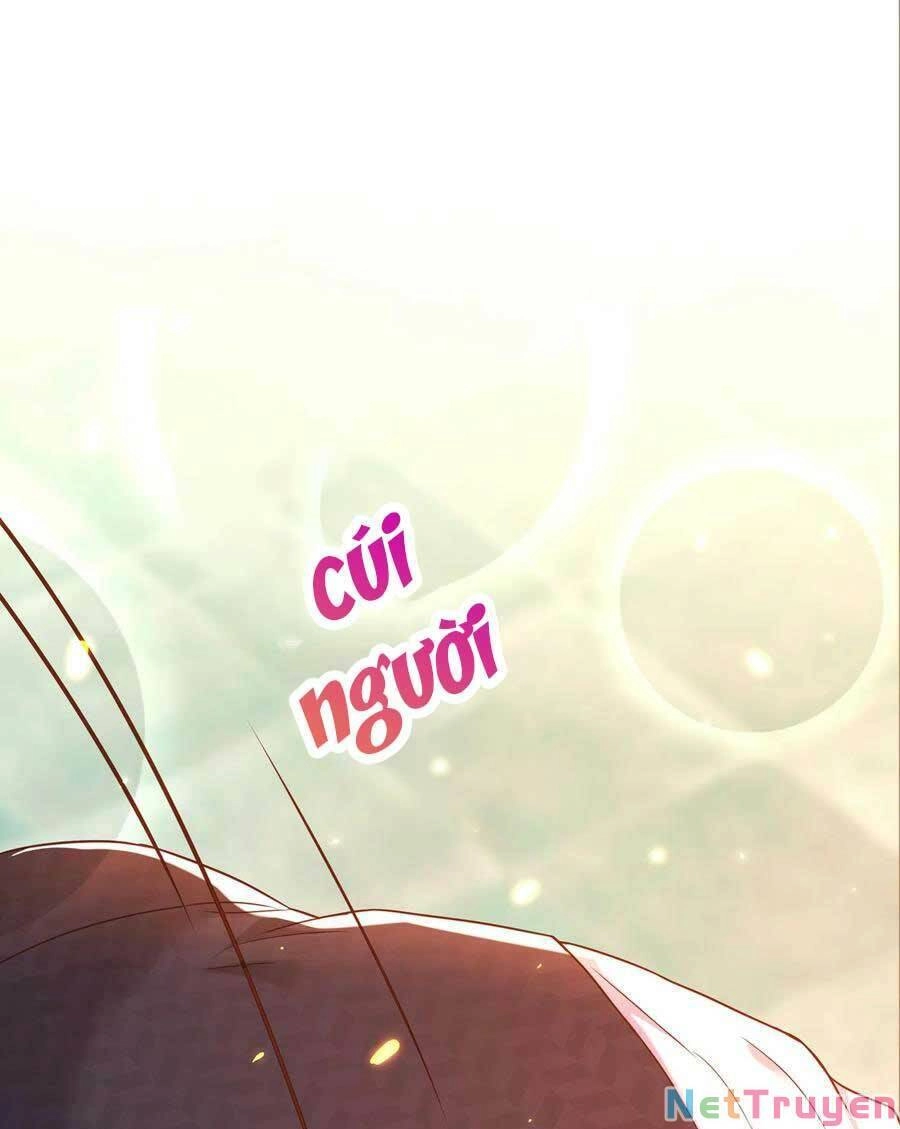 Trùng Sinh Không Gian: Cô Vợ Hào Môn Nóng Bỏng Không Dễ Chọc Chapter 120 - 17