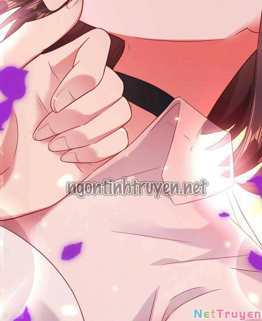 Trùng Sinh Không Gian: Cô Vợ Hào Môn Nóng Bỏng Không Dễ Chọc Chapter 120 - 21