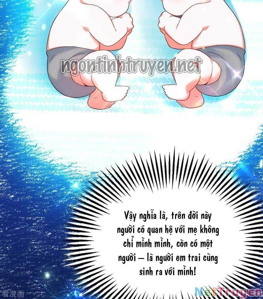 Trùng Sinh Không Gian: Cô Vợ Hào Môn Nóng Bỏng Không Dễ Chọc Chapter 121 - 20