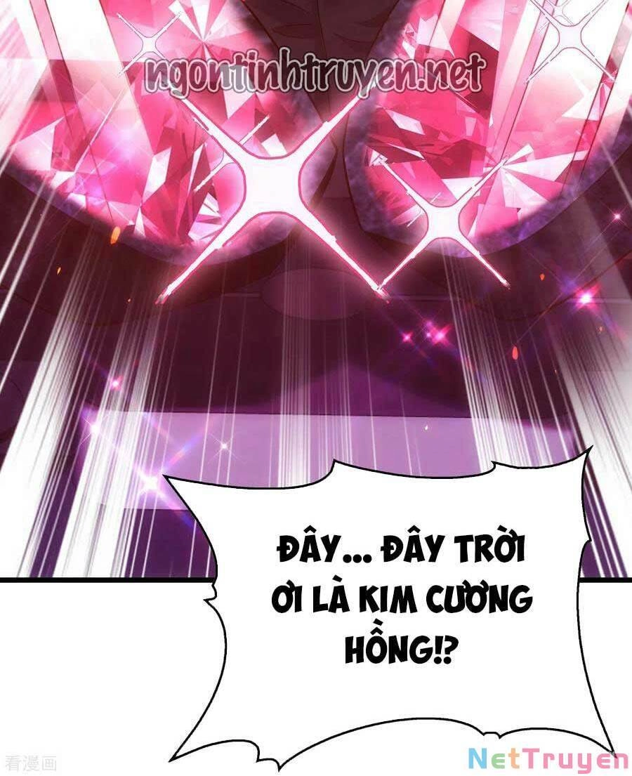 Trùng Sinh Không Gian: Cô Vợ Hào Môn Nóng Bỏng Không Dễ Chọc Chapter 124 - 11