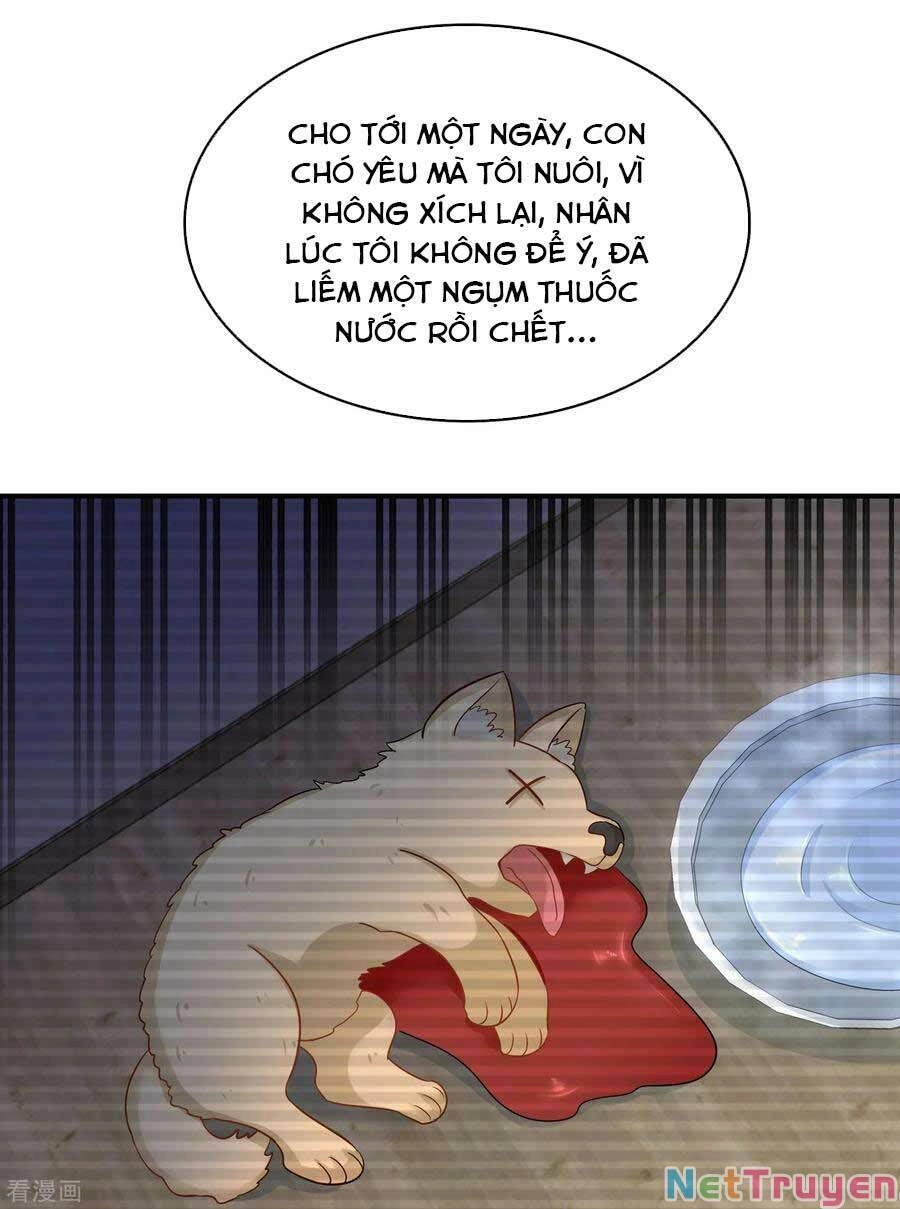 Trùng Sinh Không Gian: Cô Vợ Hào Môn Nóng Bỏng Không Dễ Chọc Chapter 125 - 23