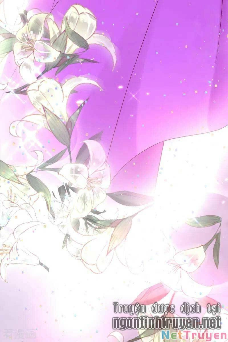 Trùng Sinh Không Gian: Cô Vợ Hào Môn Nóng Bỏng Không Dễ Chọc Chapter 140 - 35