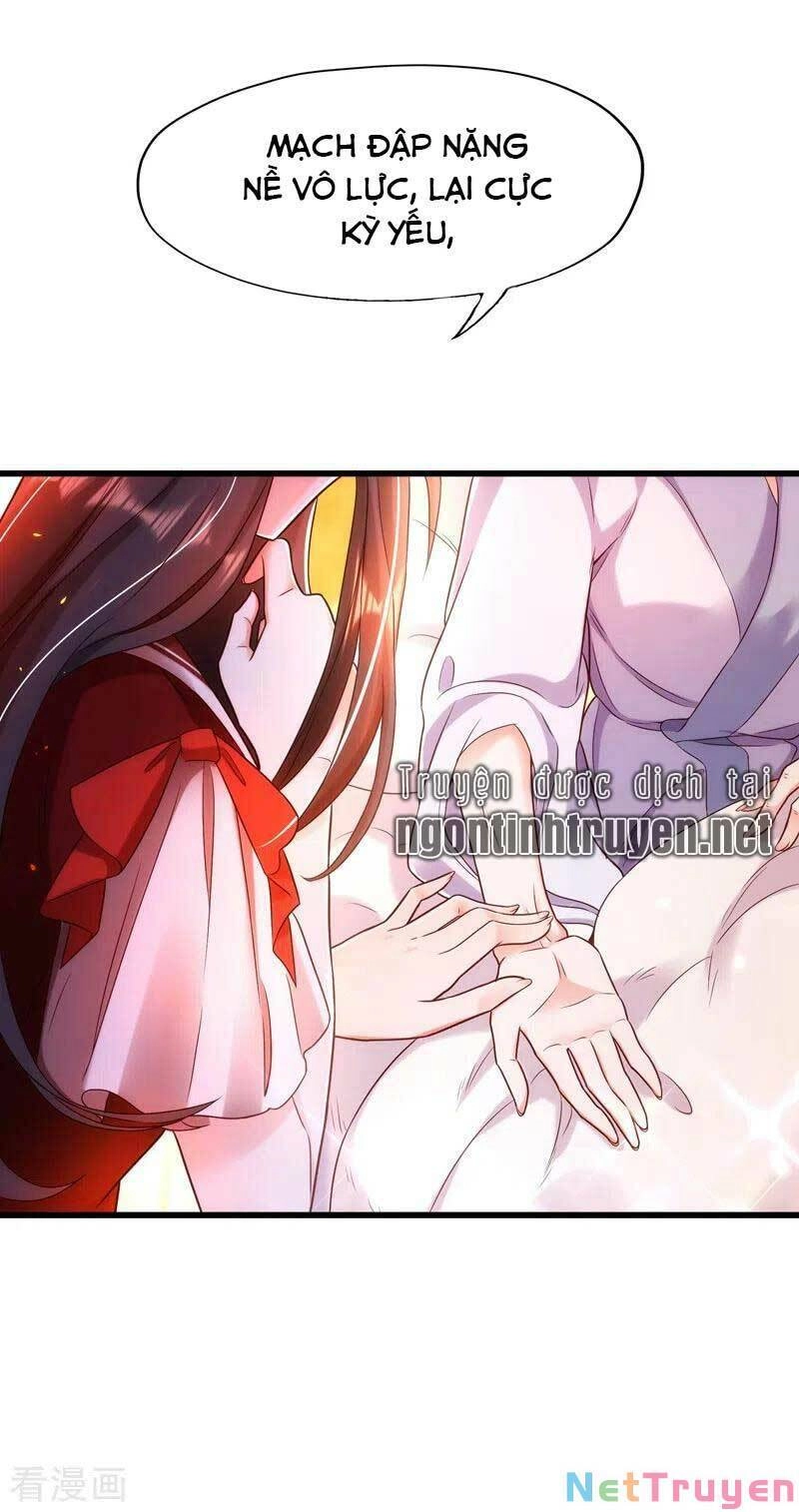 Trùng Sinh Không Gian: Cô Vợ Hào Môn Nóng Bỏng Không Dễ Chọc Chapter 141 - 3