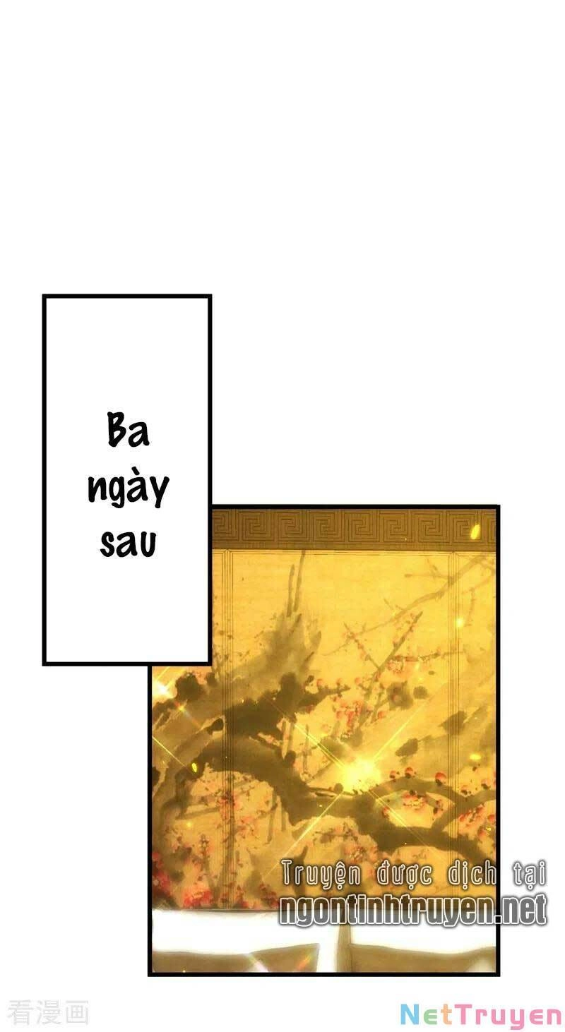 Trùng Sinh Không Gian: Cô Vợ Hào Môn Nóng Bỏng Không Dễ Chọc Chapter 141 - 18