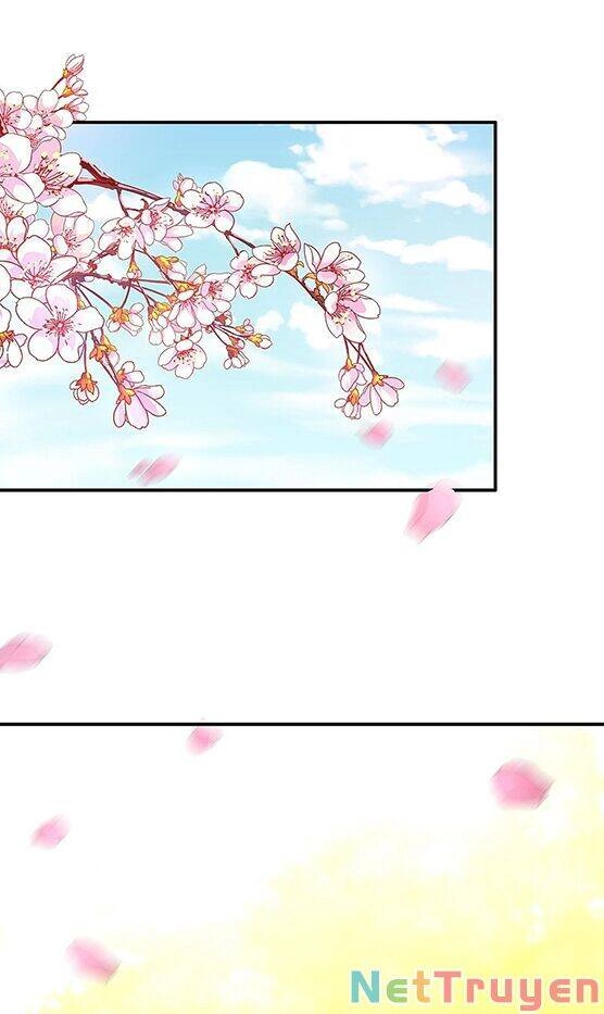 Trùng Sinh Không Gian: Cô Vợ Hào Môn Nóng Bỏng Không Dễ Chọc Chapter 144 - 10