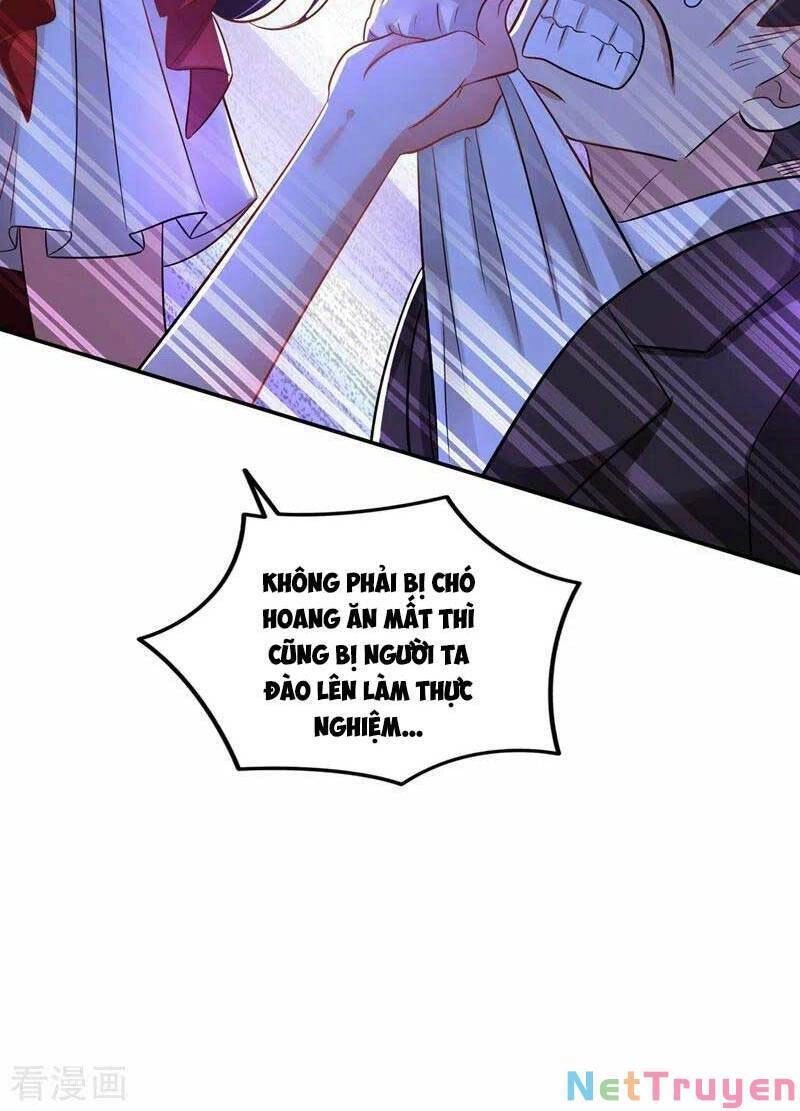 Trùng Sinh Không Gian: Cô Vợ Hào Môn Nóng Bỏng Không Dễ Chọc Chapter 145 - 41