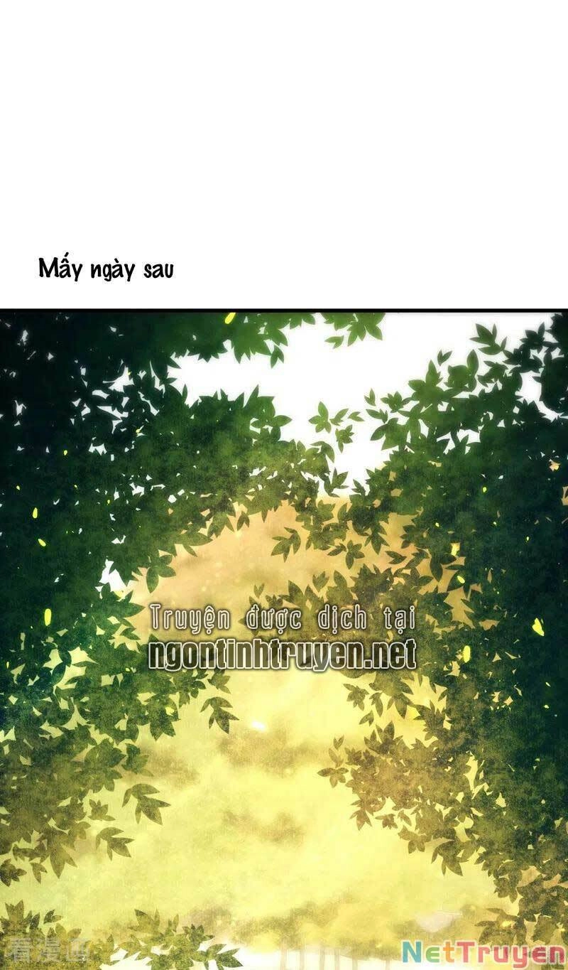 Trùng Sinh Không Gian: Cô Vợ Hào Môn Nóng Bỏng Không Dễ Chọc Chapter 146 - 3