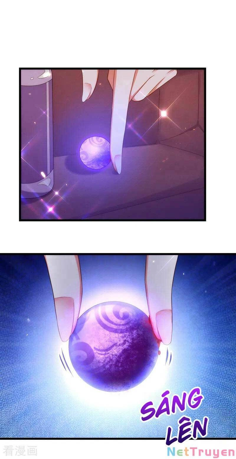 Trùng Sinh Không Gian: Cô Vợ Hào Môn Nóng Bỏng Không Dễ Chọc Chapter 151 - 7