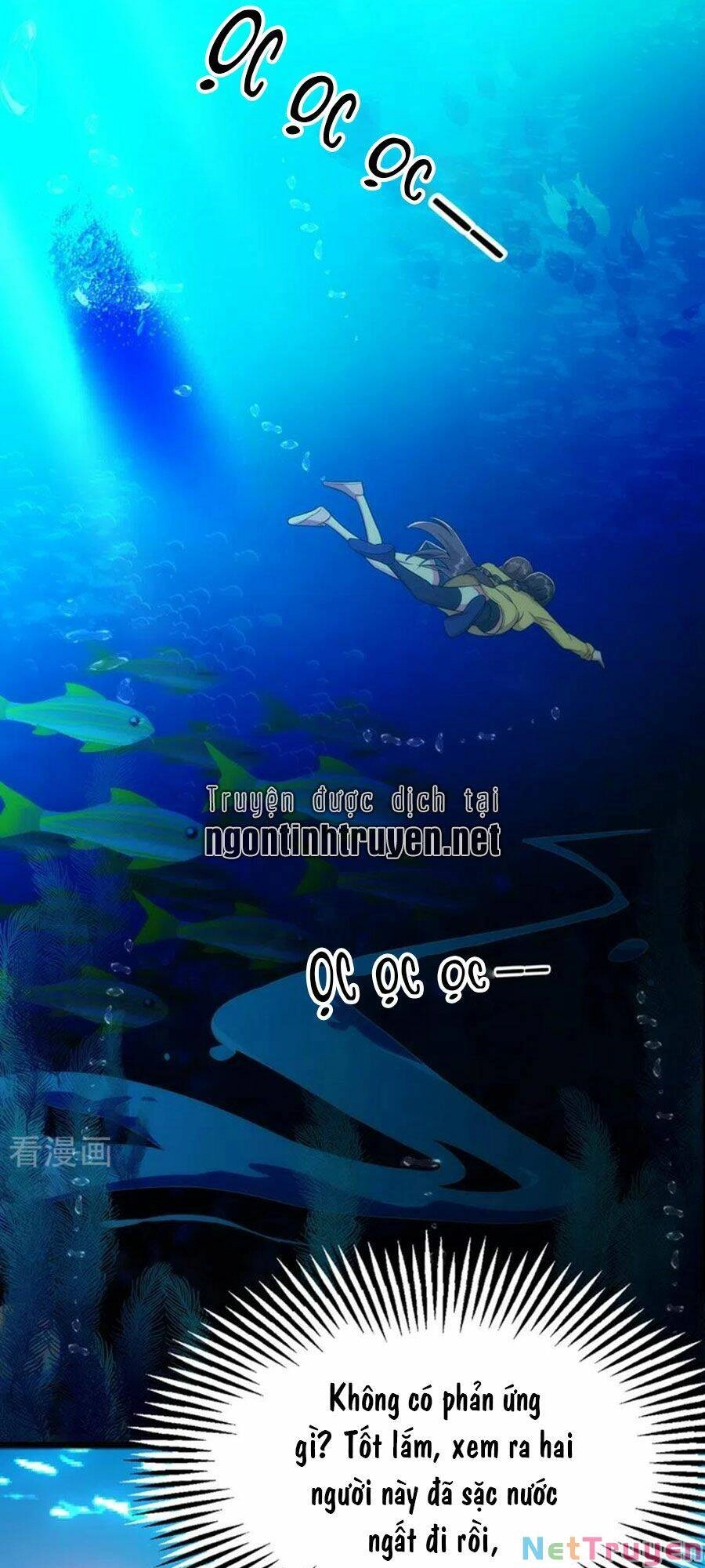 Trùng Sinh Không Gian: Cô Vợ Hào Môn Nóng Bỏng Không Dễ Chọc Chapter 169 - 12