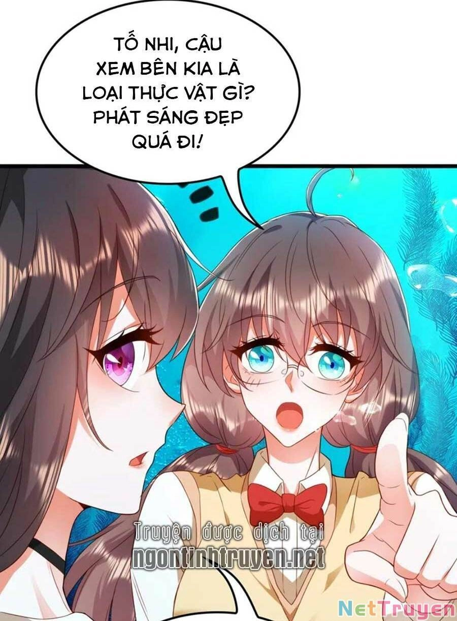 Trùng Sinh Không Gian: Cô Vợ Hào Môn Nóng Bỏng Không Dễ Chọc Chapter 169 - 23