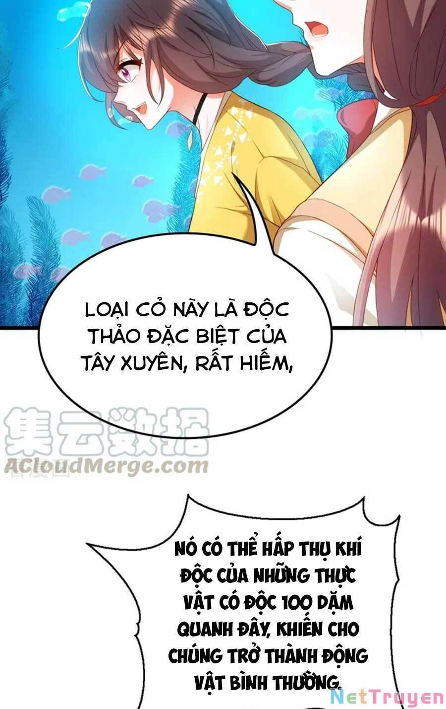 Trùng Sinh Không Gian: Cô Vợ Hào Môn Nóng Bỏng Không Dễ Chọc Chapter 169 - 26