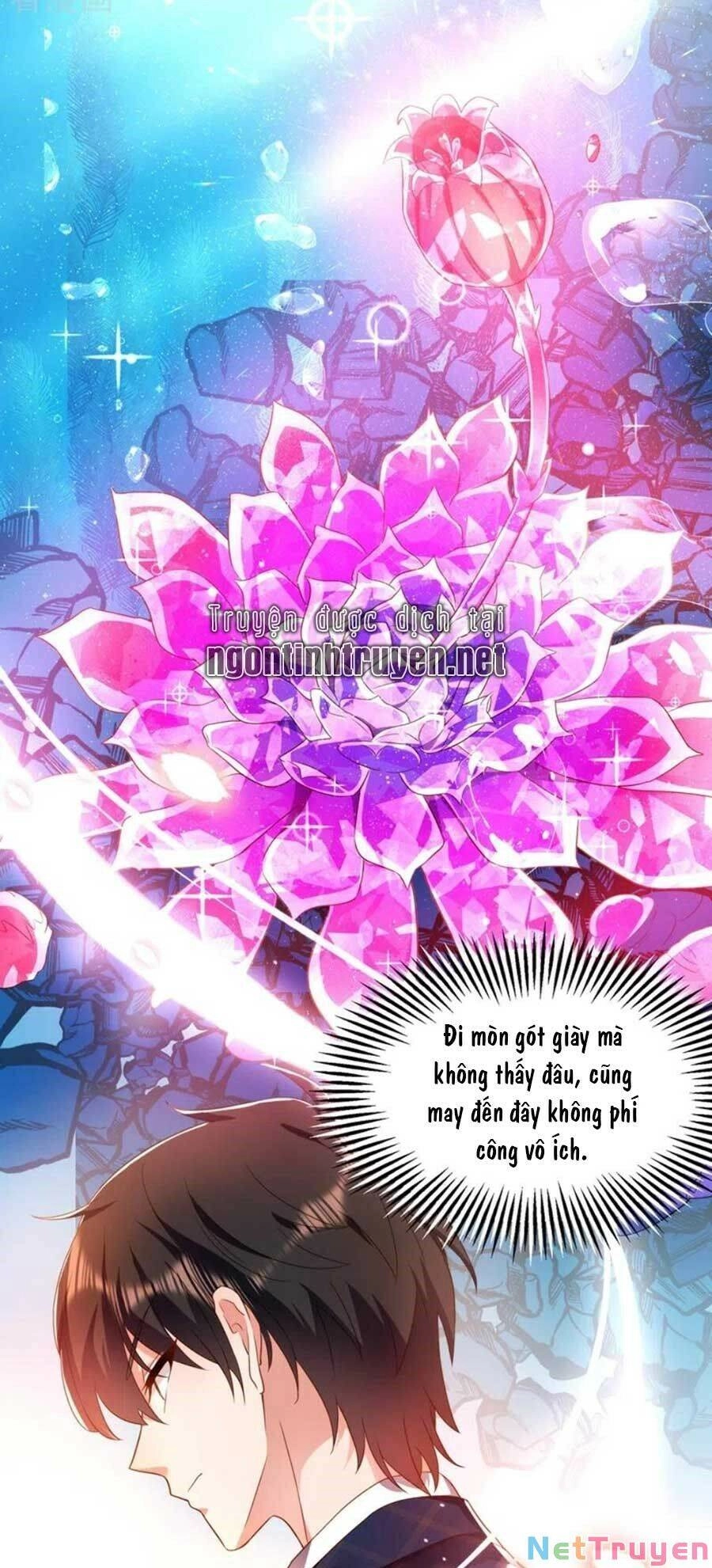 Trùng Sinh Không Gian: Cô Vợ Hào Môn Nóng Bỏng Không Dễ Chọc Chapter 169 - 28