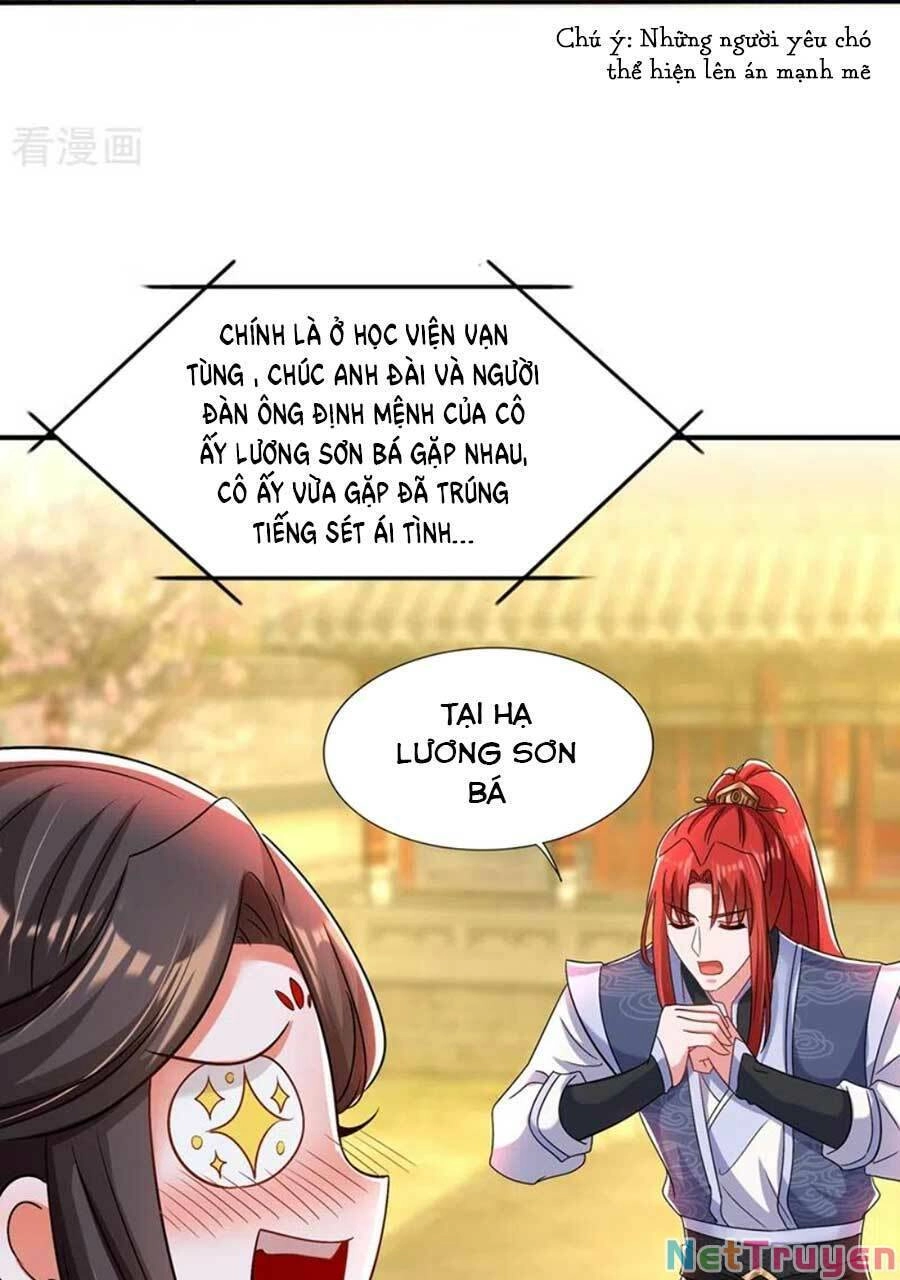 Trùng Sinh Không Gian: Cô Vợ Hào Môn Nóng Bỏng Không Dễ Chọc Chapter 178 - 14