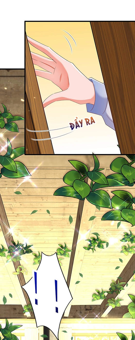 Trùng Sinh Không Gian: Cô Vợ Hào Môn Nóng Bỏng Không Dễ Chọc Chapter 209 - 15