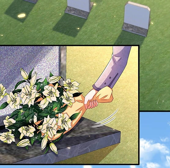 Trùng Sinh Không Gian: Cô Vợ Hào Môn Nóng Bỏng Không Dễ Chọc Chapter 235 - 3