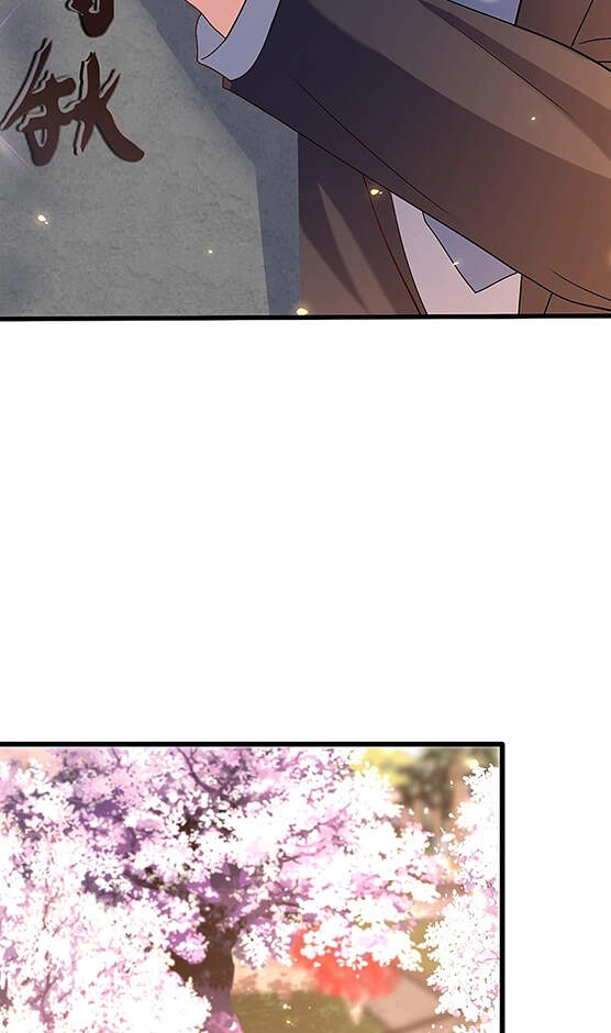 Trùng Sinh Không Gian: Cô Vợ Hào Môn Nóng Bỏng Không Dễ Chọc Chapter 235 - 9