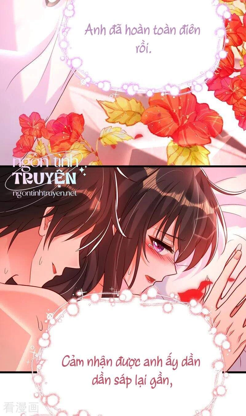 Trùng Sinh Không Gian: Cô Vợ Hào Môn Nóng Bỏng Không Dễ Chọc Chapter 240 - 11