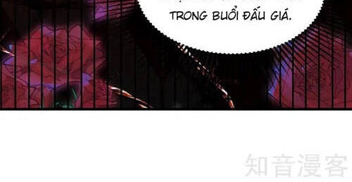 Trùng Sinh Không Gian: Cô Vợ Hào Môn Nóng Bỏng Không Dễ Chọc Chapter 269 - 22