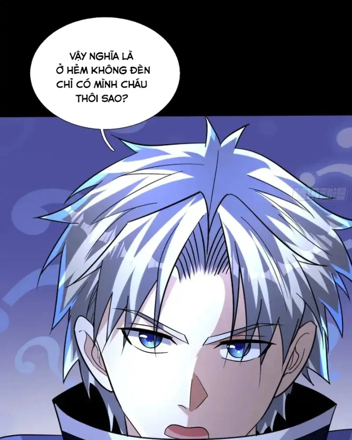 Toàn Cầu Sợ Hãi: Tôi Mở Hack Tự Chọn Cửa Hàng Chapter 45 - 24