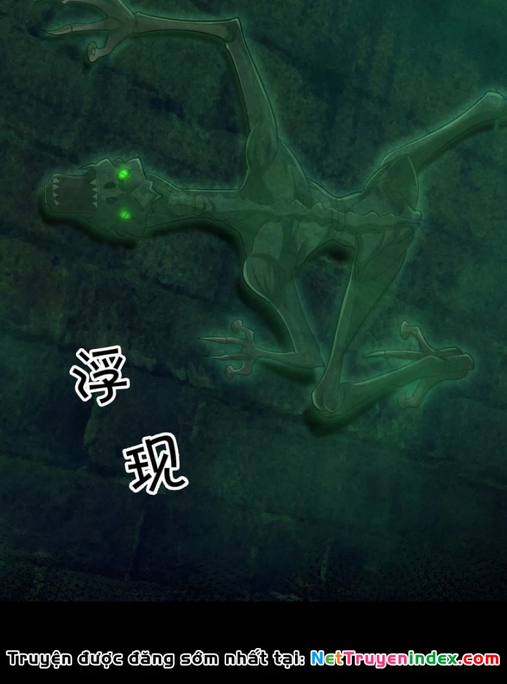 Toàn Cầu Sợ Hãi: Tôi Mở Hack Tự Chọn Cửa Hàng Chapter 47 - 23