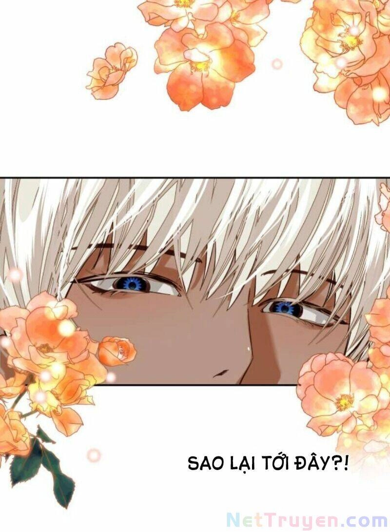 Dàn Trai Đẹp Chốn Hậu Cung Chapter 12 - 58