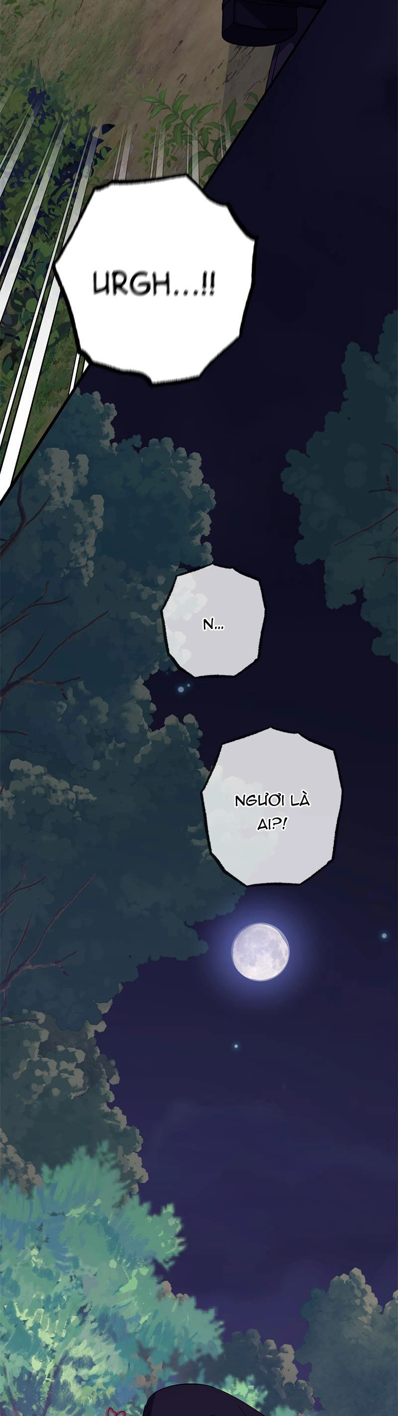 Dàn Trai Đẹp Chốn Hậu Cung Chapter 113.1 - 19