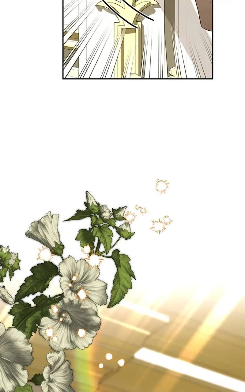 Dàn Trai Đẹp Chốn Hậu Cung Chapter 114.1 - 42