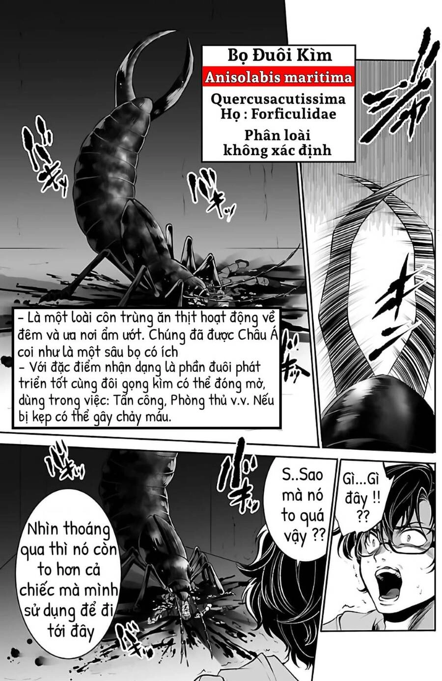 Dãy Núi Côn Trùng Chapter 1 - 34