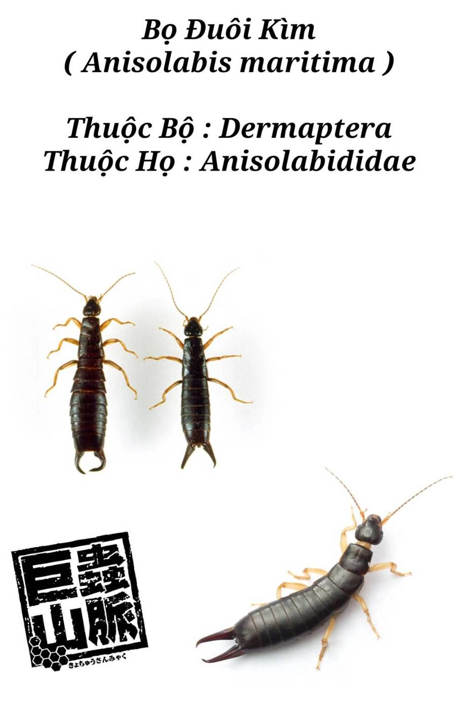 Dãy Núi Côn Trùng Chapter 1 - 44