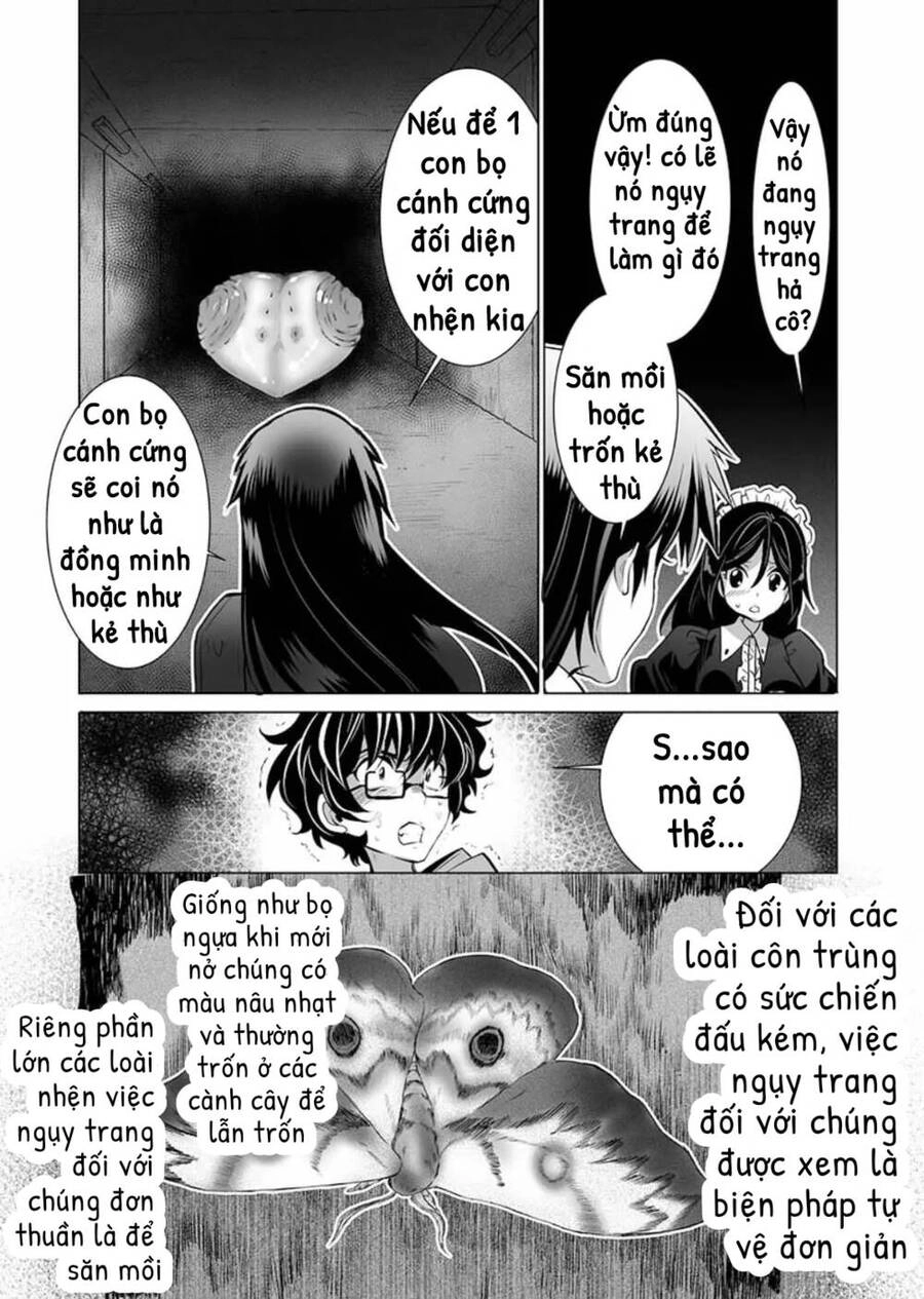 Dãy Núi Côn Trùng Chapter 10 - 6