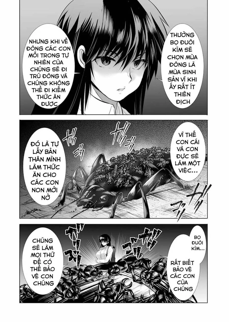 Dãy Núi Côn Trùng Chapter 13 - 22