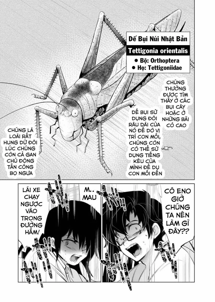 Dãy Núi Côn Trùng Chapter 14 - 24