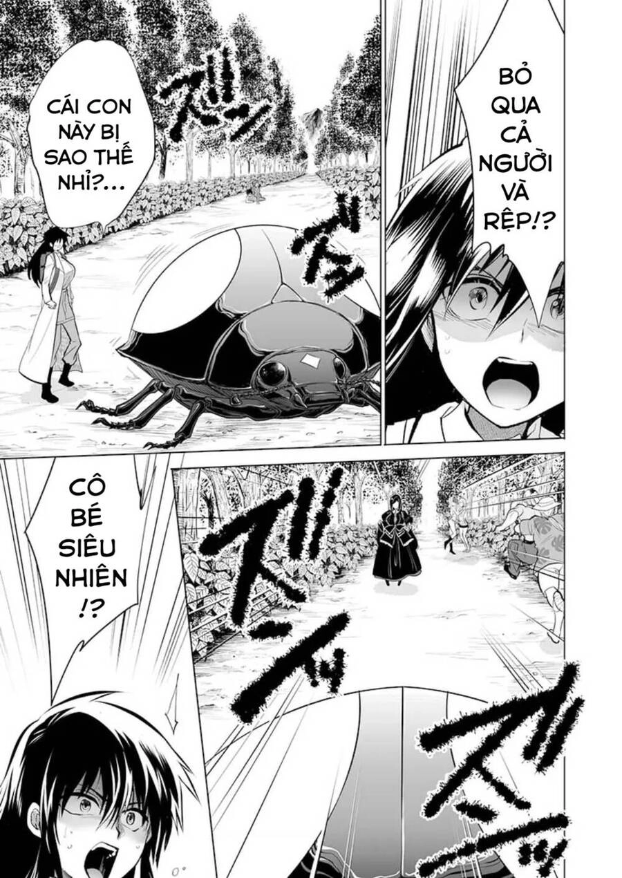 Dãy Núi Côn Trùng Chapter 22 - 11