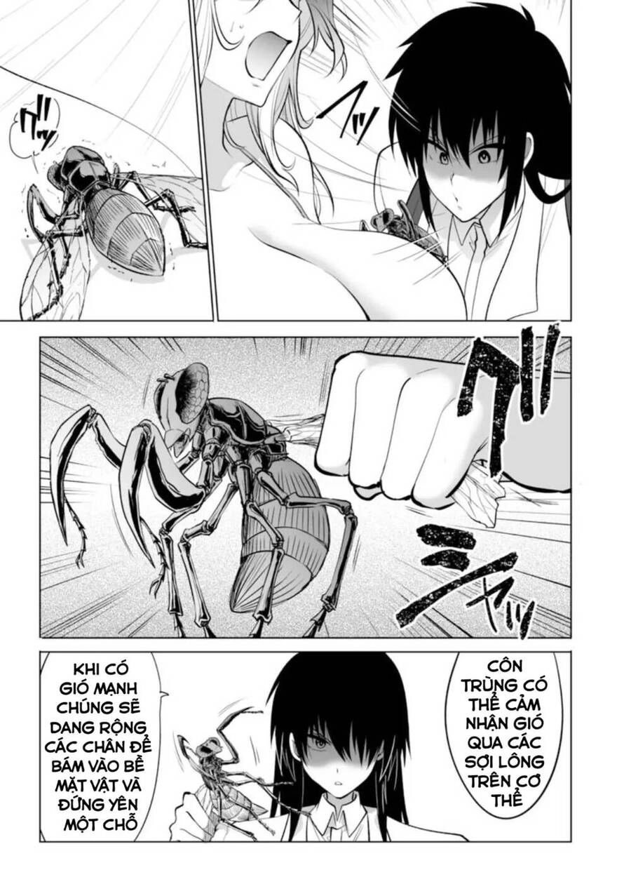 Dãy Núi Côn Trùng Chapter 30 - 19