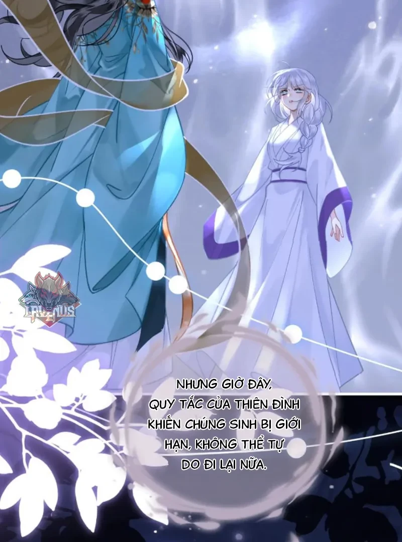 Đông Hải Tìm Mỹ Nhân Chapter 66 - 43