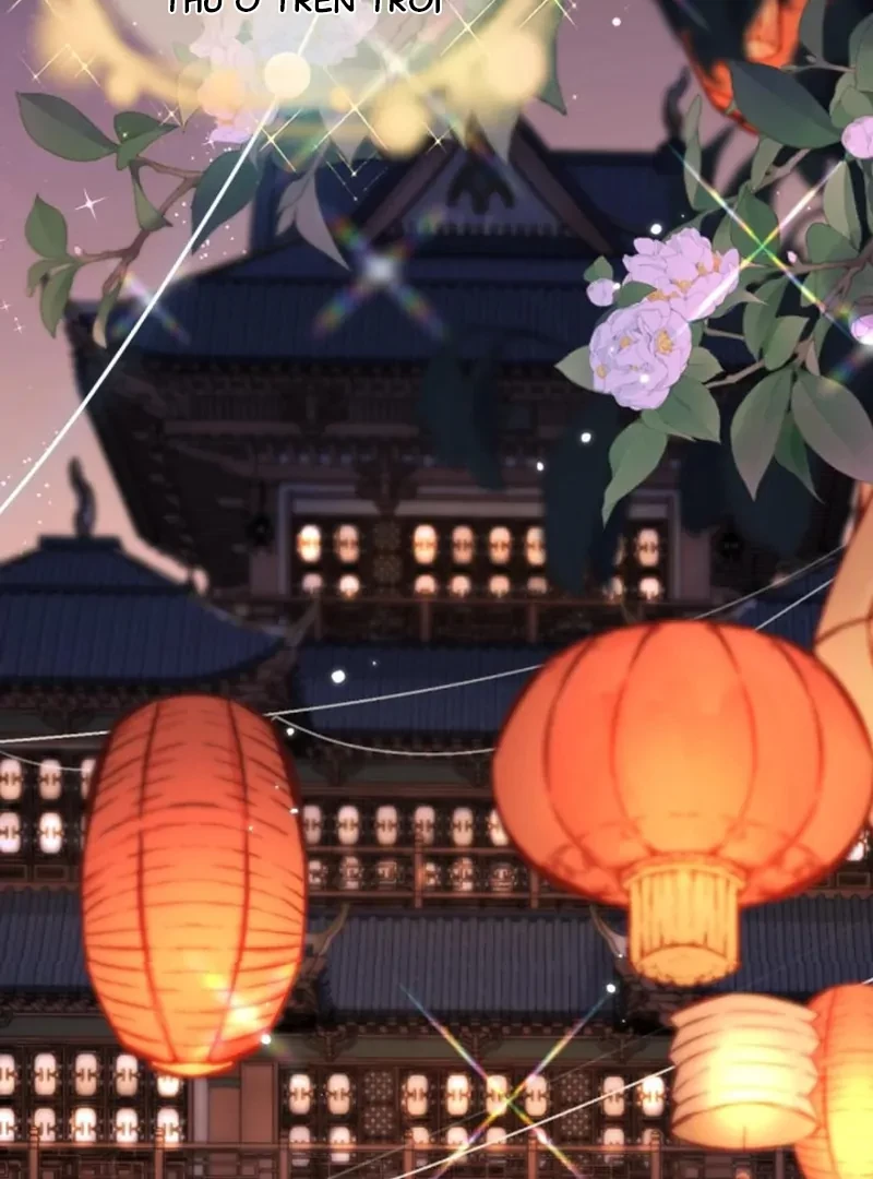 Đông Hải Tìm Mỹ Nhân Chapter 66 - 61