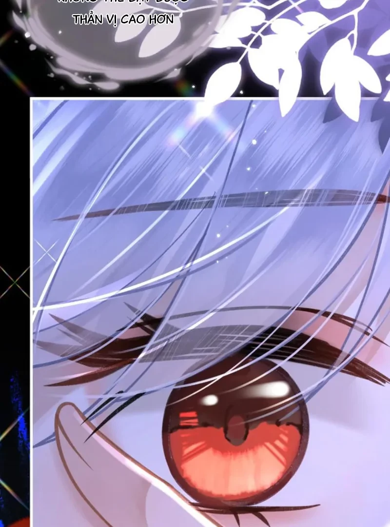 Đông Hải Tìm Mỹ Nhân Chapter 66 - 66