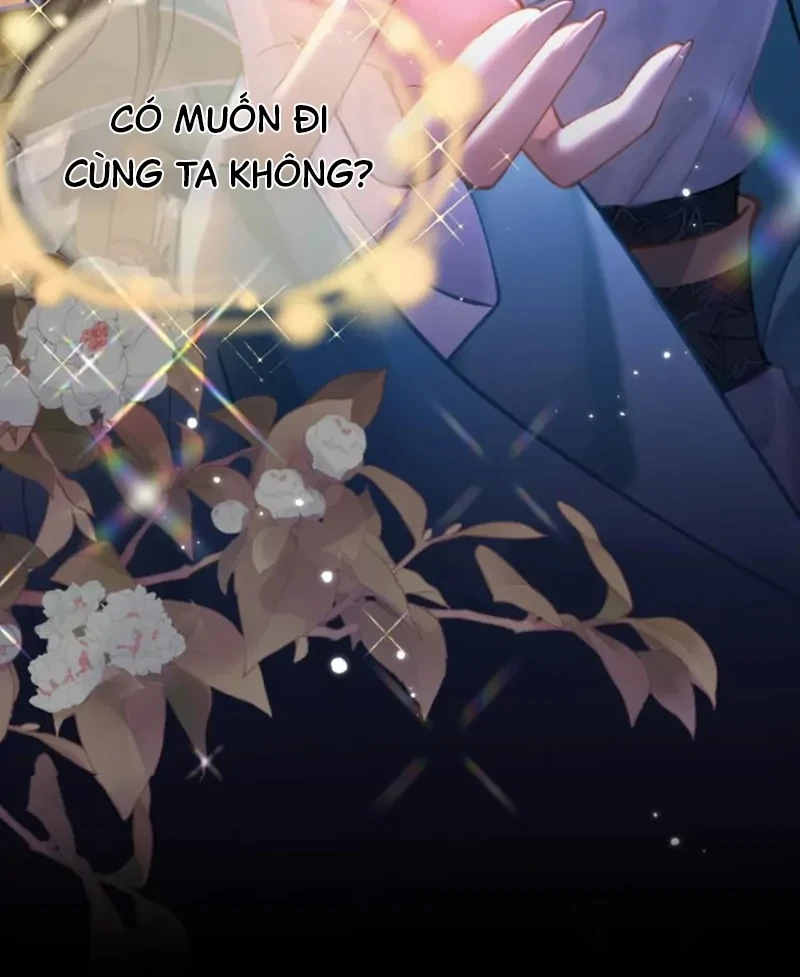 Đông Hải Tìm Mỹ Nhân Chapter 66 - 70