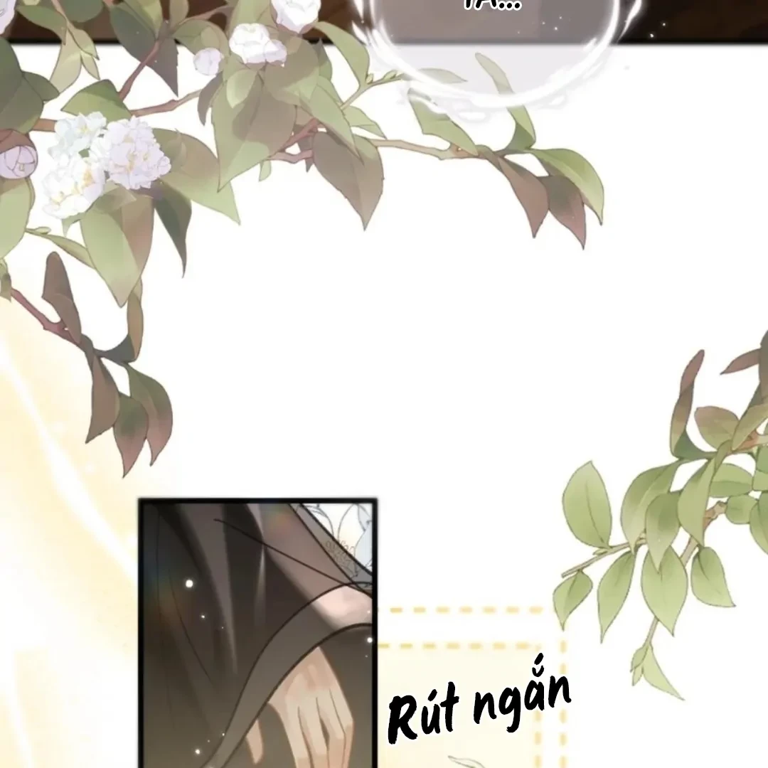 Đông Hải Tìm Mỹ Nhân Chapter 69 - 16