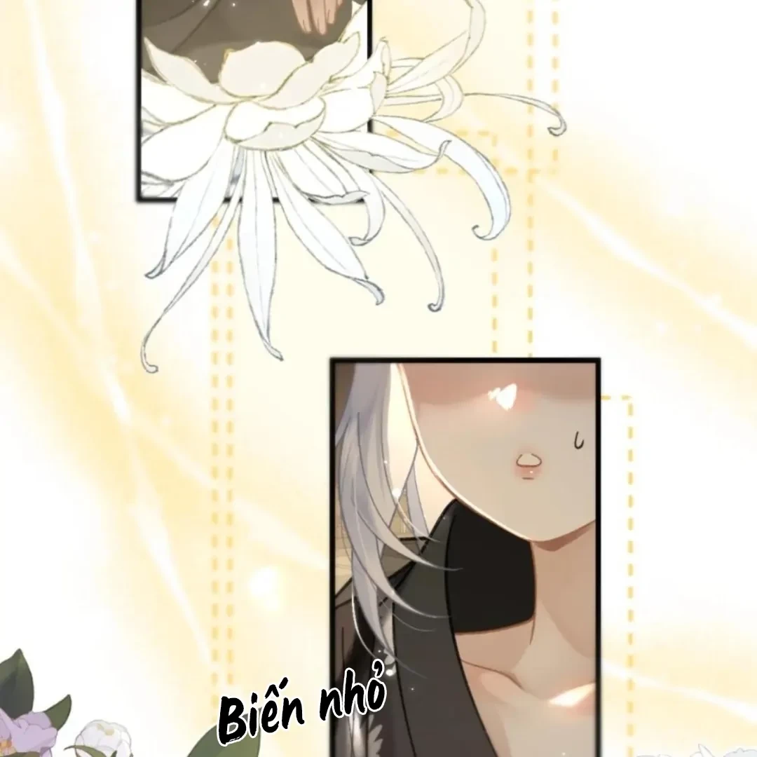 Đông Hải Tìm Mỹ Nhân Chapter 69 - 17