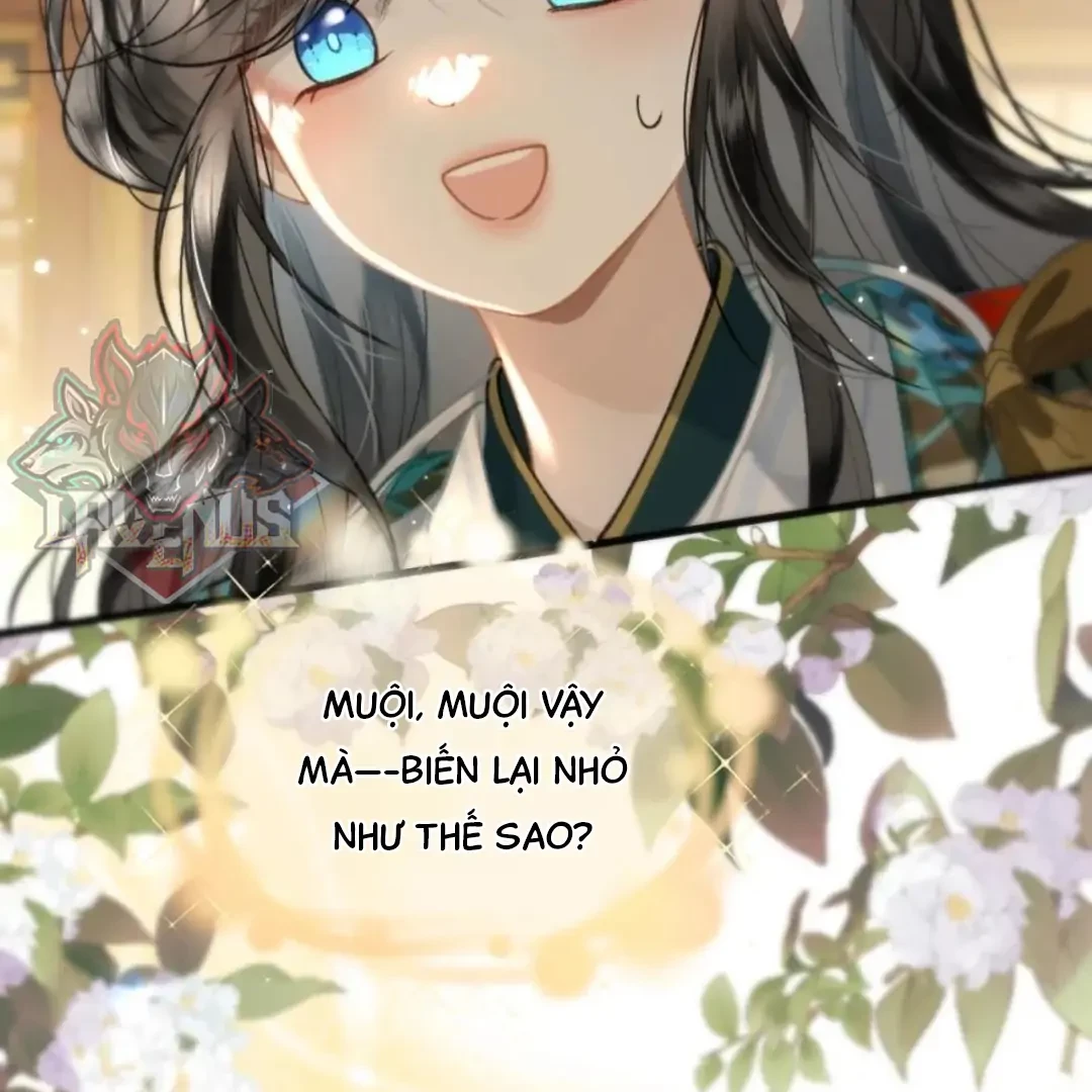 Đông Hải Tìm Mỹ Nhân Chapter 69 - 19