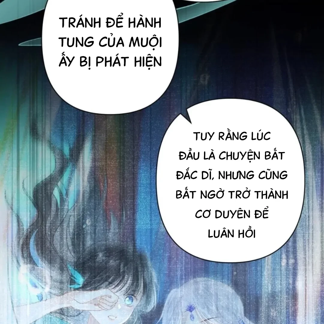 Đông Hải Tìm Mỹ Nhân Chapter 71 - 8