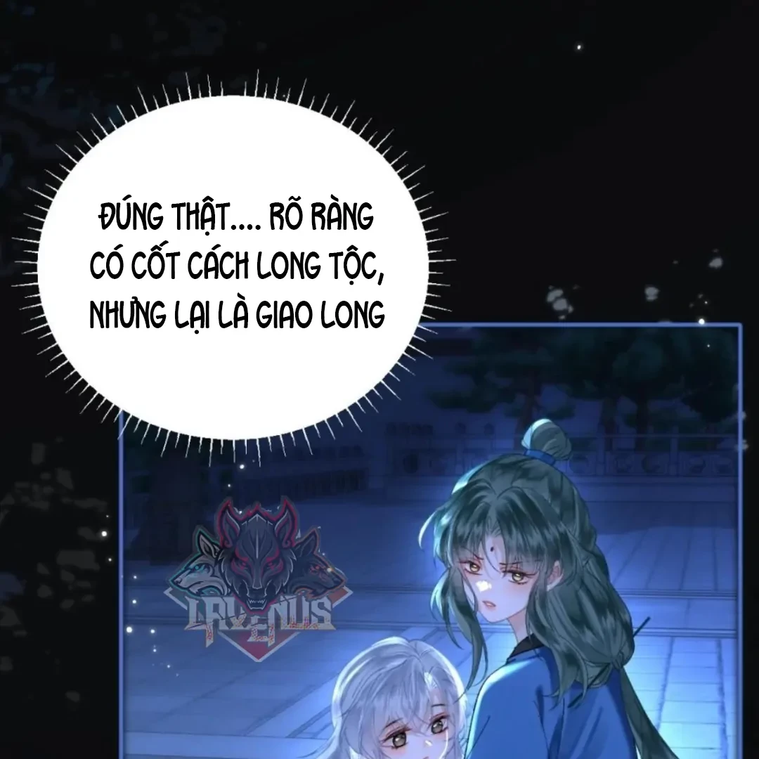 Đông Hải Tìm Mỹ Nhân Chapter 71 - 36