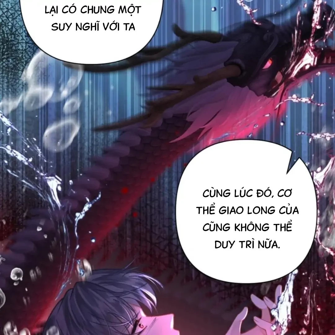 Đông Hải Tìm Mỹ Nhân Chapter 71 - 45