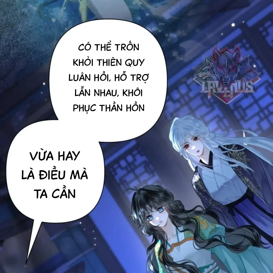 Đông Hải Tìm Mỹ Nhân Chapter 71 - 81