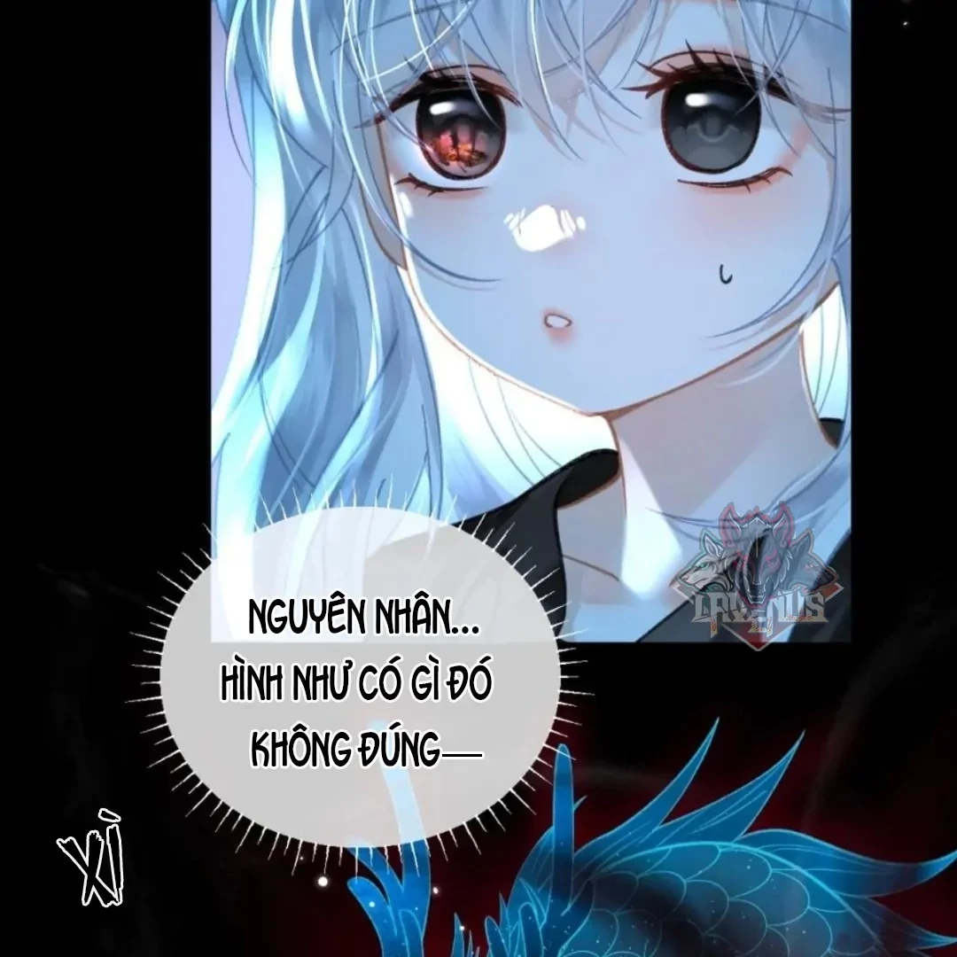 Đông Hải Tìm Mỹ Nhân Chapter 73 - 33