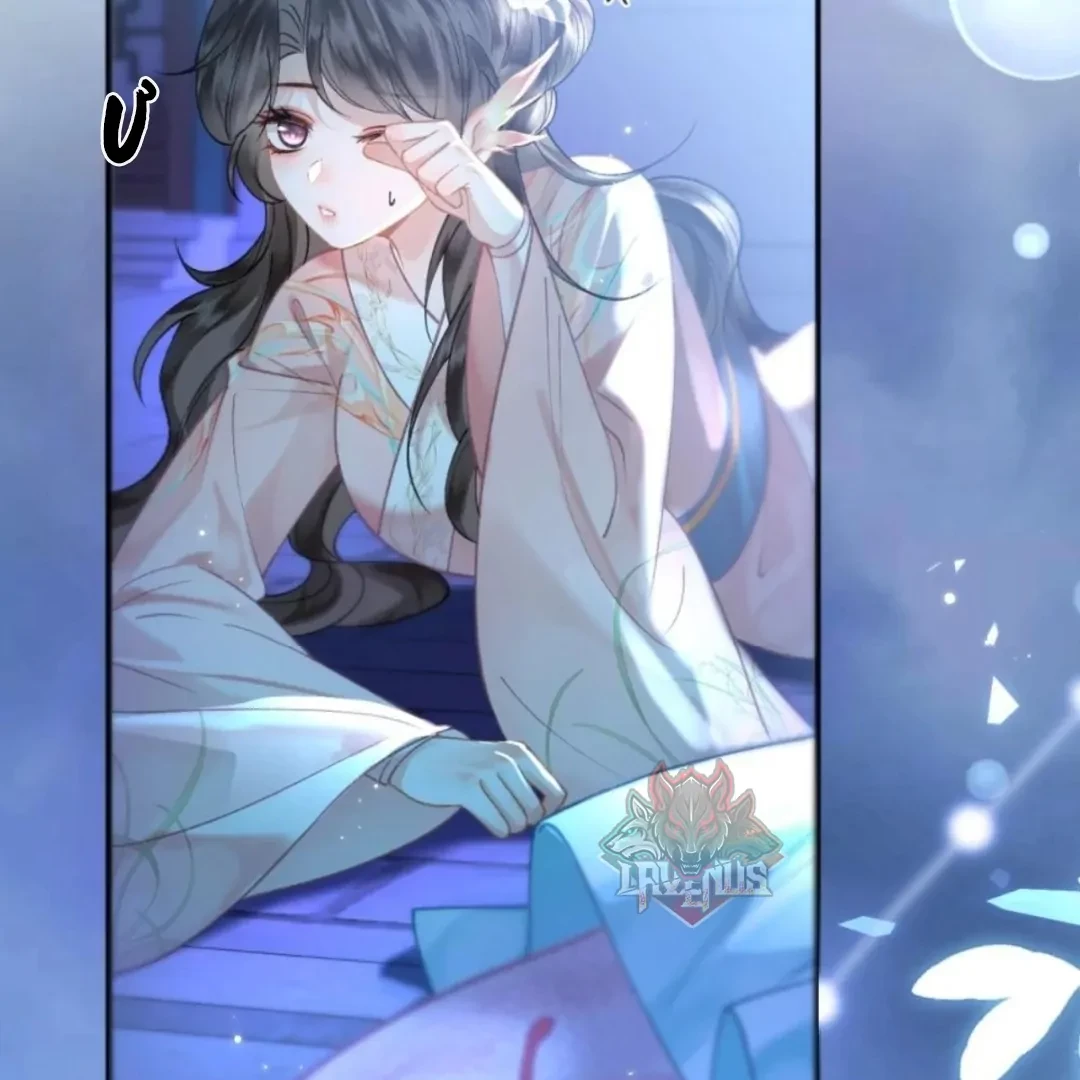 Đông Hải Tìm Mỹ Nhân Chapter 73 - 80