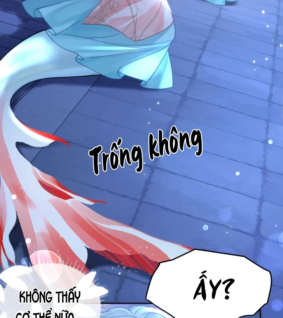 Đông Hải Tìm Mỹ Nhân Chapter 74 - 21