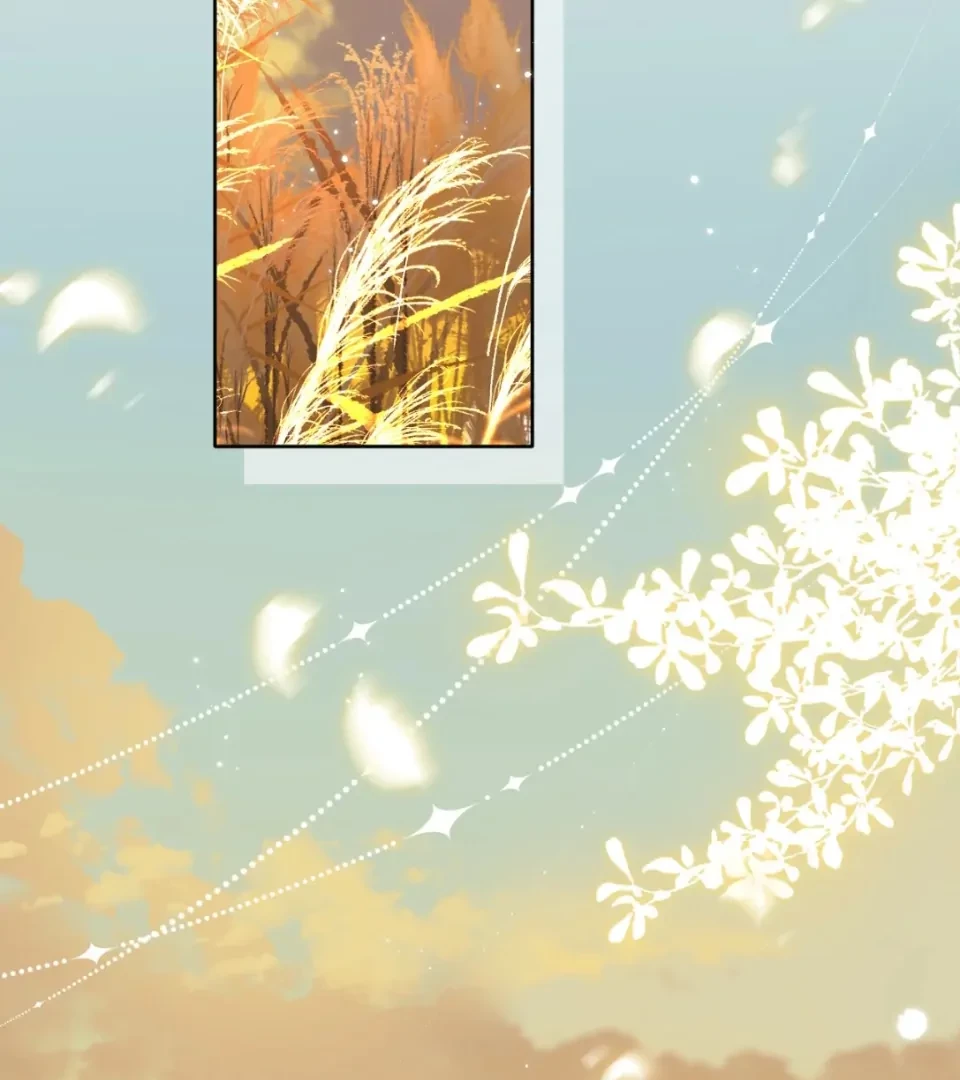 Đông Hải Tìm Mỹ Nhân Chapter 74 - 53