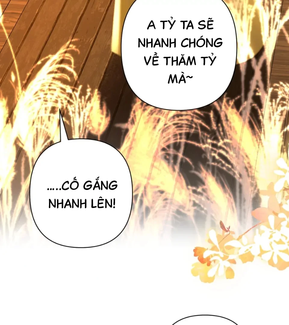 Đông Hải Tìm Mỹ Nhân Chapter 74 - 69